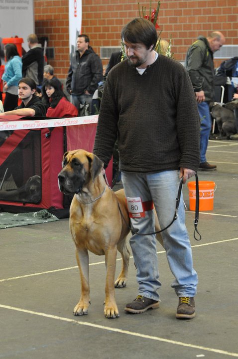 Elektra Lenzburg 2010.jpg Elektra Lenzburg 2010.jpg